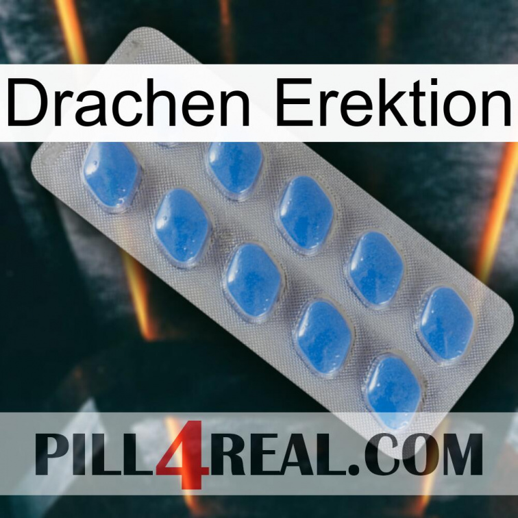 Dragon Erection 22